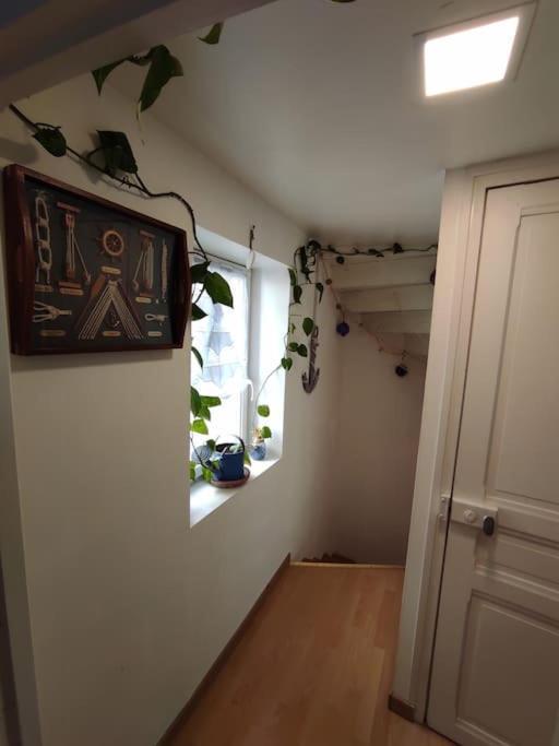 Chaleureuse Maison De Ville Avec Parking Gratuit Chinon Zewnętrze zdjęcie